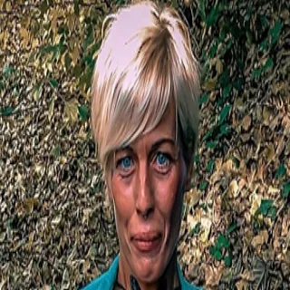 Vicky Hundt porno yıldızı