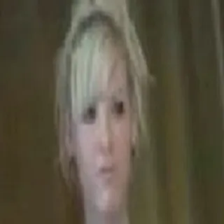 Bridgett Lee porno yıldızı